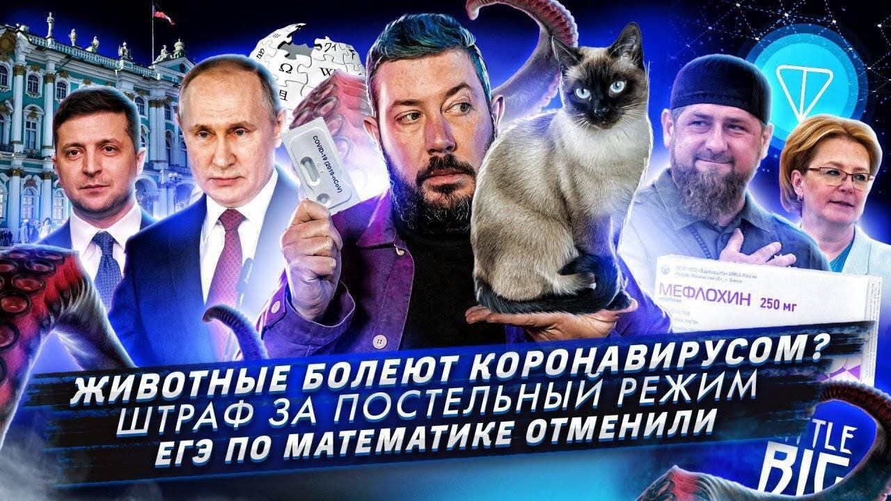 Животные болеют коронавирусом? / В Москве оштрафовали женщину-инвалида / Отмена ЕГЭ по математике