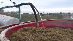 Устранение выборочного поедания корма коровами с помощью воды