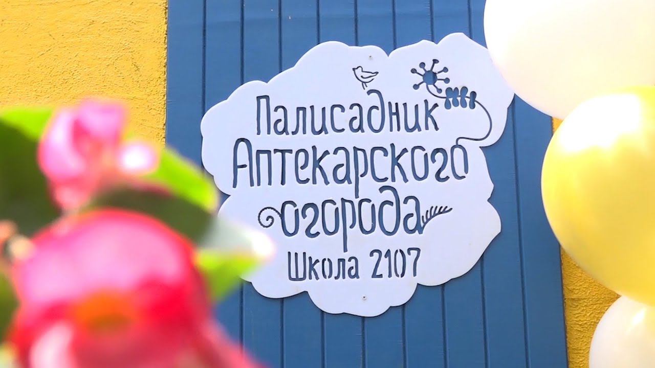 "ПАЛИСАДНИК АПТЕКАРСКОГО ОГОРОДА В ШКОЛЕ 2107". Открытие. Май 2021 г.