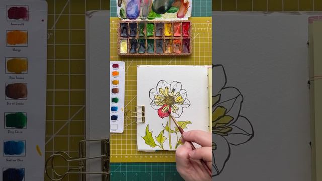 🌸 Wheel Dahlia watercolor painting with Viviva Colors | 🎨 #timelapsepainting #watercolorflower 🌸