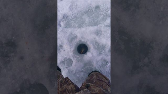 Прикипела ко мне