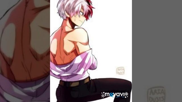Todoroki Shoto!