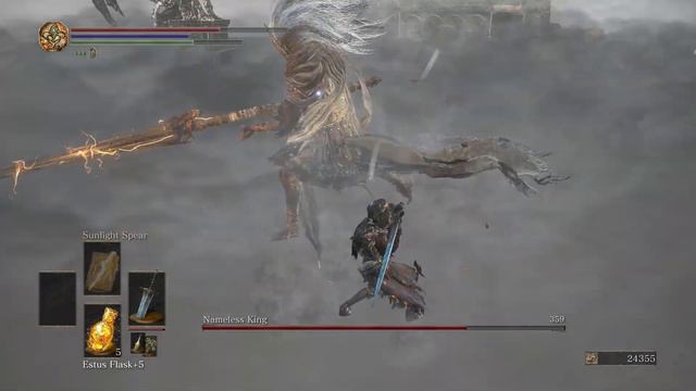 (Champions Ashes) Nameless King Boss Fight