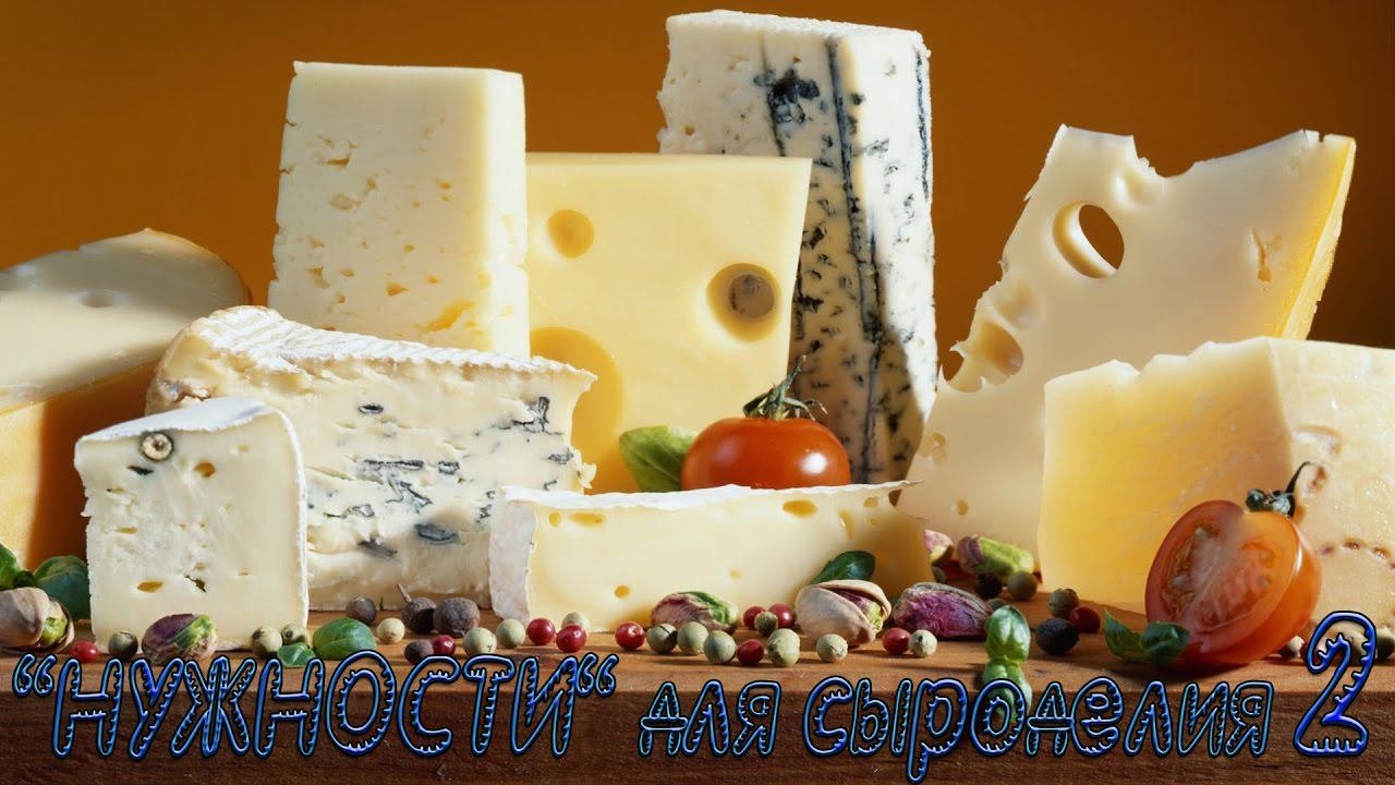 НУЖНОСТИ для СЫРОДЕЛИЯ №2
