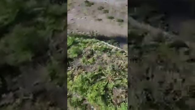 Памятник А. П. Чехов в селе Чехов в ужасном состоянии.