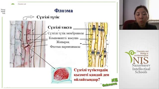 Заттарды тасымалдау смотреть онлайн