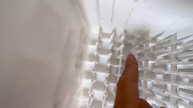 Гидропонный ящик для выгонки тюльпанов смотреть онлайн