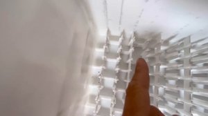 Гидропонный ящик для выгонки тюльпанов