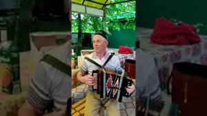 Татарские народные на тальянке.