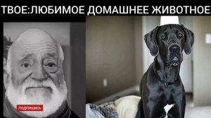 твое животное:
мистер исключительный мем тролфейс