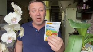 ОРХИДЕИ ГНИЛИ как действует на орхидеи не разбавленный ФИТОЛАВИН и ТОПАЗ / фаленопсис Дикий Кот