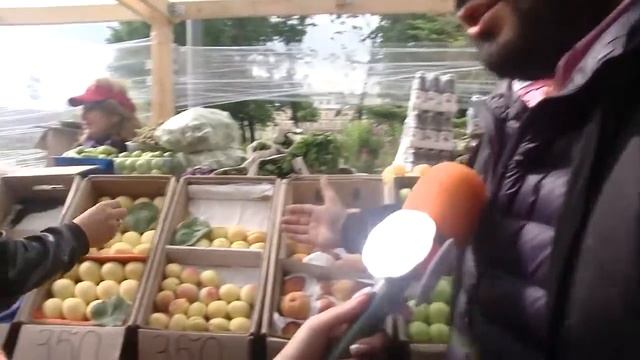 Праздник Абрикос 2017 смотреть онлайн