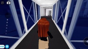 работаю стюардессой