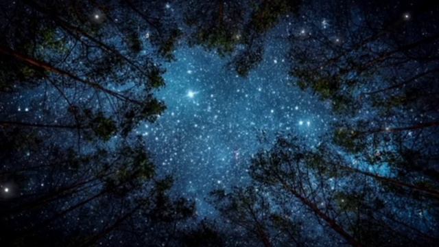 МАТЕРЬ МИРА, Ирина Кокош ⚛️: «Молитва-медитация /По Воле, Господи, Твоей»..