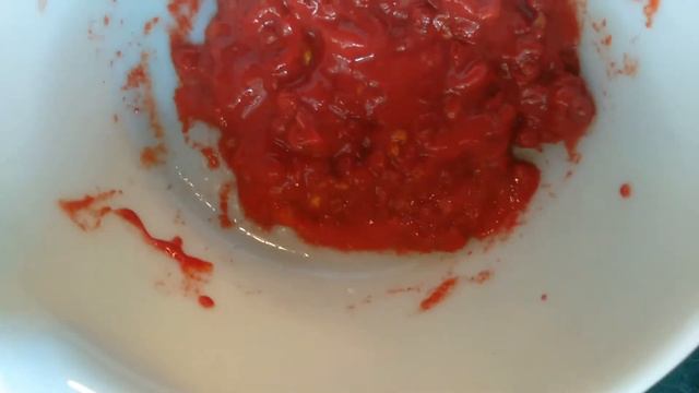 Wild Edibles Video 5: Autumn Olive Berries