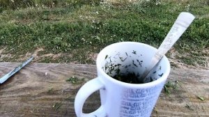 Убойный ароматизатор своими руками, для любой белой рыбы. Как сделать Ароматизатор для рыбалки.