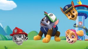Wrong Heads Paw Patrol Paw Patrol Colors Boss Baby Finger Family Learn Colors for Kids