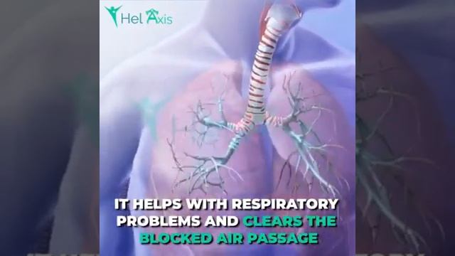 Ultrasonic Portable Handheld Nebulizer смотреть онлайн