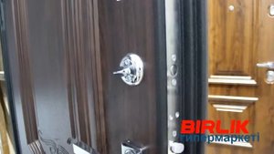 стальные двери TOREX серии Professor 4+