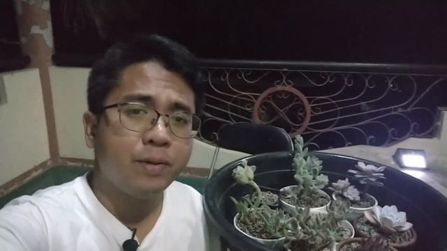 When to Start BOTTOM WATERING Your NEW Succulents (+Fixing Mealybug Problems) / Journey pt. 3 смотреть онлайн