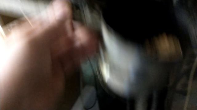 электростатическая коптильня из подручных средств, халява, краткий обзор