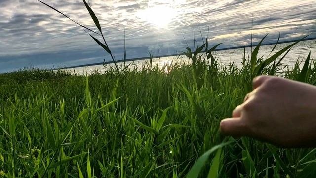 деревня