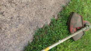 Триммер prorab