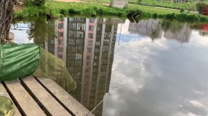 Сомы на поплавок! 15 сомов на поплавочную удочку! Щука на живца, разбил телефон….