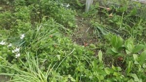 Переезд на юг. И снова утро. Ничего не успеваю.