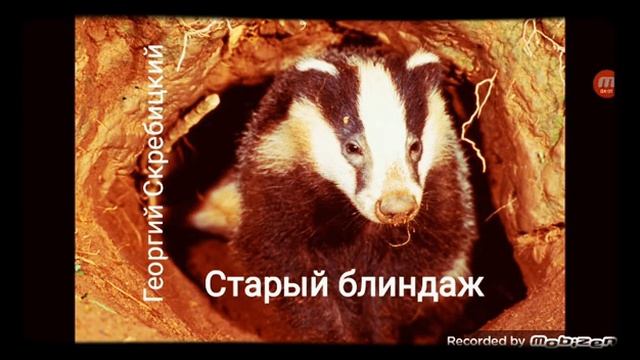 СТАРЫЙ БЛИНДАЖ ? рассказ ? аудио ? автор Георгий Скребицкий ?