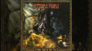 Бегу я рысью, бегу я волком! (Original Mix)