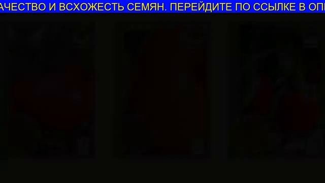 Лучшие Сорта Редиса