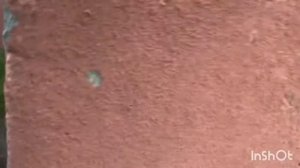 Наши-будни #5 где живут GVR