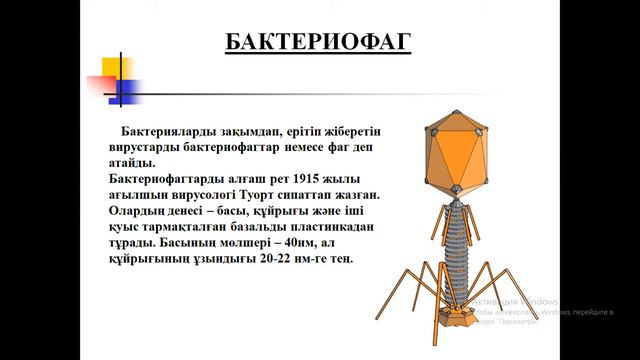 Бейнесабақ. Биология. 7-сынып. Қонақбай Д. Т. смотреть онлайн