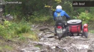 Проверяем мотоциклы &quot;Урал&quot; на бездорожье