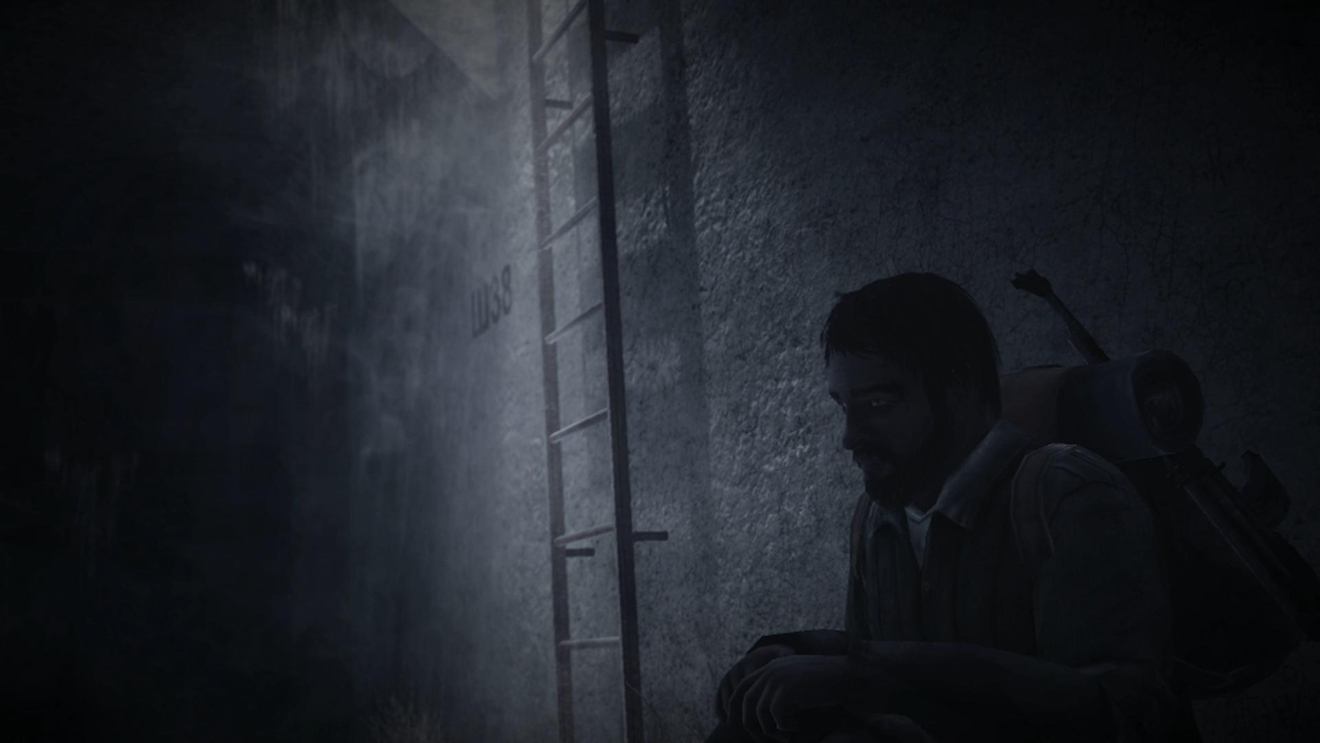 #7 Собаки в 35MM