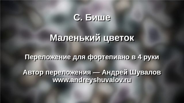 С. Бише Маленький цветок в 4 руки смотреть онлайн