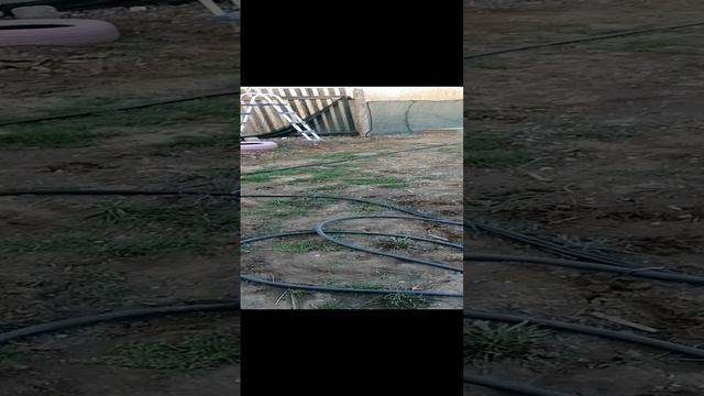 Работы в саду