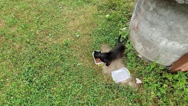 Берусь за себя Отравился смотреть онлайн