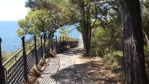 Хутор Бетта. Старый парк на берегу Черного моря.