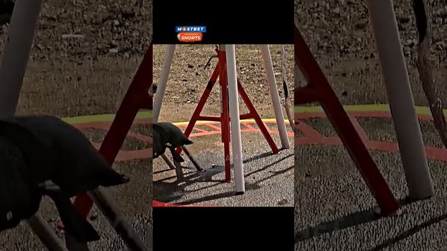 Что будет с оружием во фритюре? #shorts #разрушителилегенд