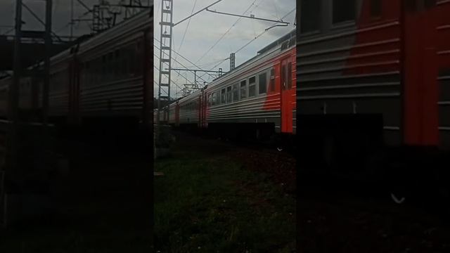 электричка эт2м летним вечером #train #жд #поезд #электричка #эт2м #железнаядорога #питер #спб #ржд