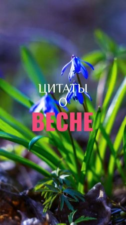 Цитаты о Весне. Роберт Рождественский о Весне.