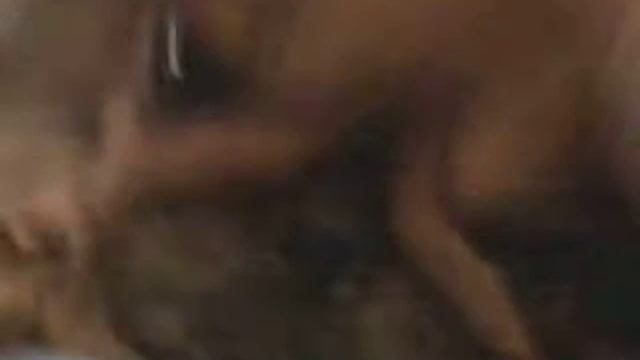 МОЙ ЛЮБИМЫЙ МАНДАРИН))))) смотреть онлайн