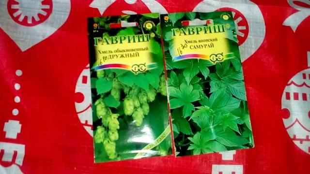 ОБЗОР семян- ХМЕЛЬ. Кубеинка( март 2019г) смотреть онлайн