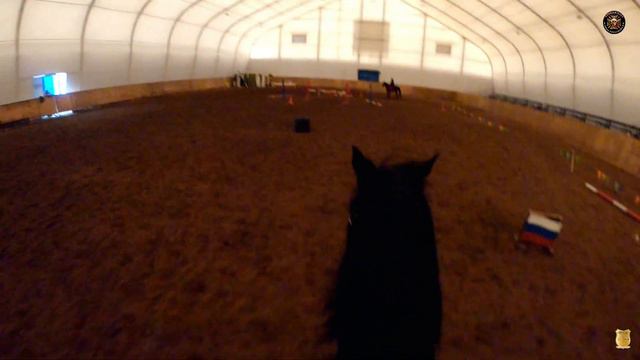 Влог тренировочные занятия по конкуру в КК им генерала Бакланова Я.П. смотреть онлайн