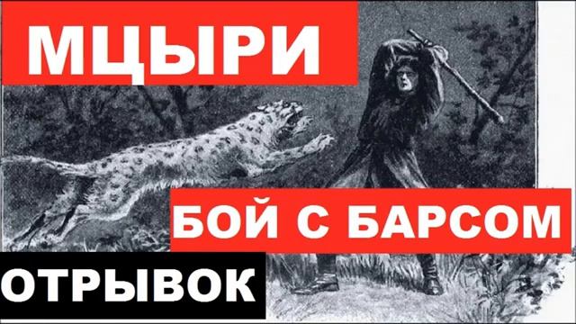 Чем закончилась схватка мцыри с барсом. Бой с Барсом отрывок. Мцыри Барс отрывок. Мцыри битва с Барсом отрывок. Мцыри поединок с Барсом отрывок.