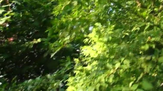 Сады Подмосковья