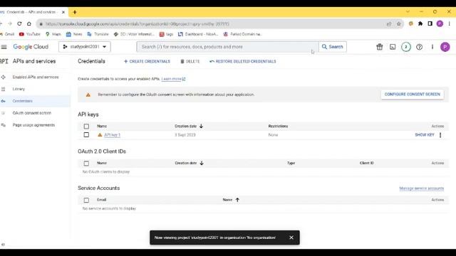 how to use google map api in website