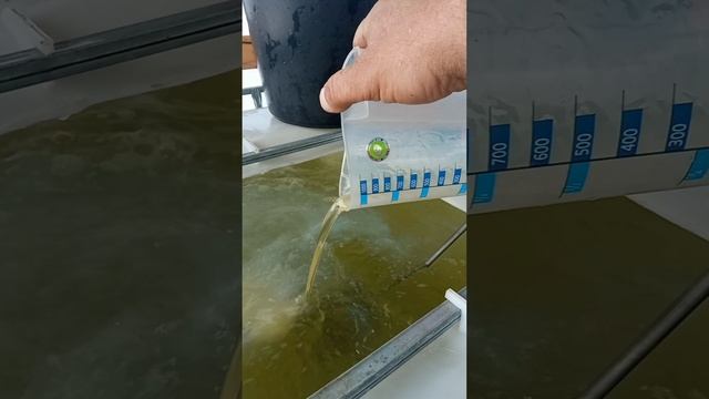 Обработка.mp4